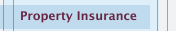 Property Insurance
